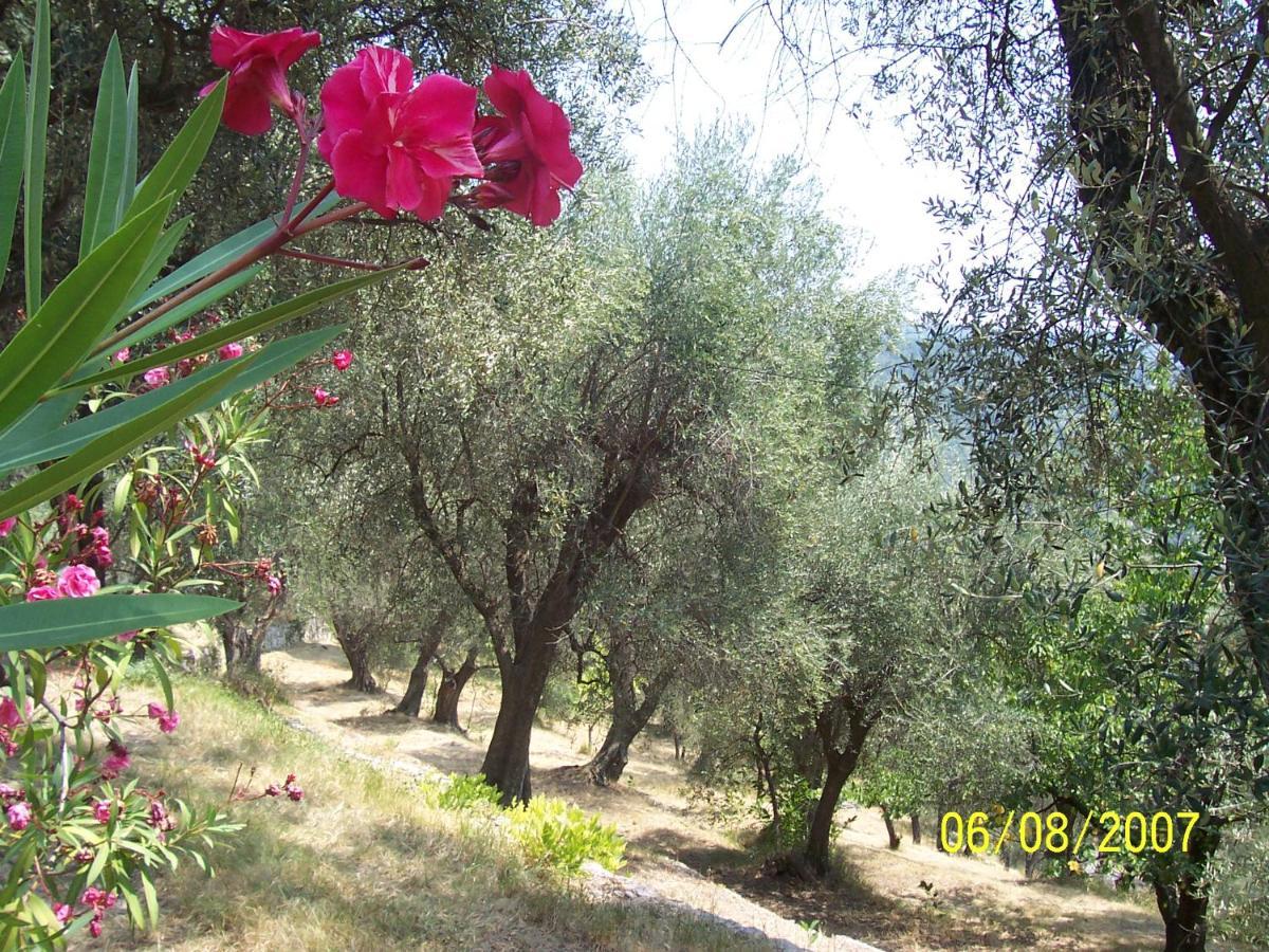 مبيت وإفطار Saint-Blaise  Lou Mas Dau Paigran المظهر الخارجي الصورة